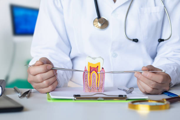 Best Root Canal Emergency Dentist  in Thomas, OK